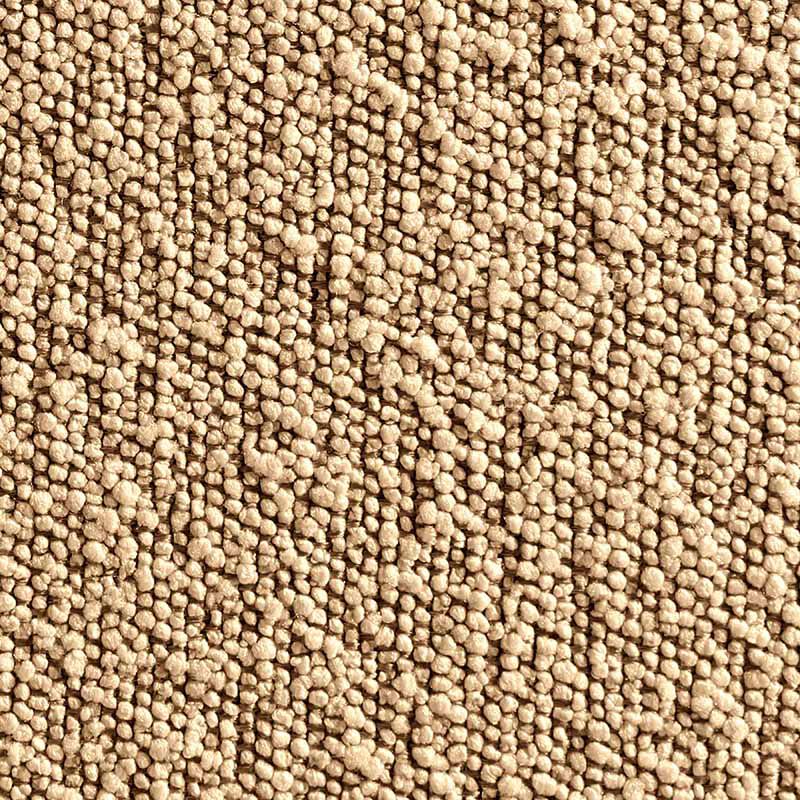 Boucle - Sandstone