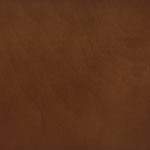 Wood finish swatch in Tucson